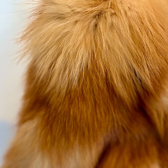 Luxurious, Fluffy and Silky Red Fox Coat, Medium - Picture 4 of 6